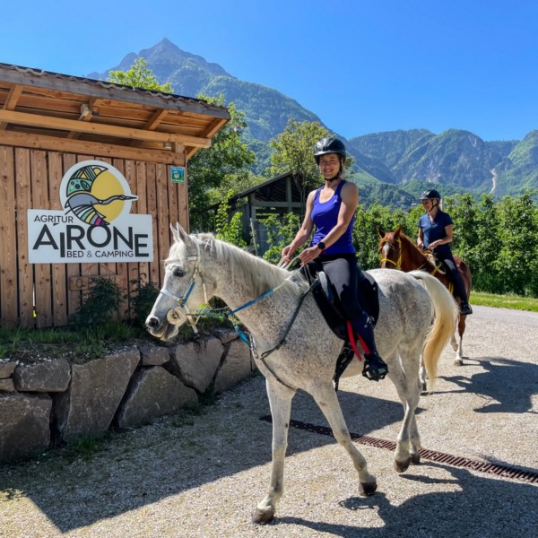 Agricampeggio Airone | Levico Terme - Trentino - ALLEVAMENTO-CAVALLO-ARABO