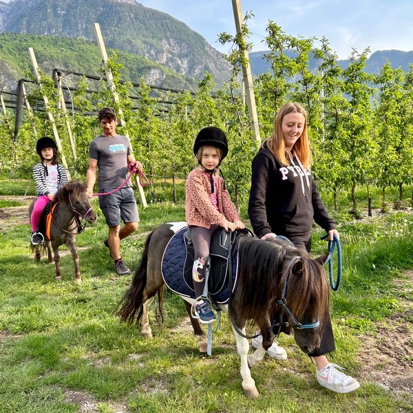 Agricampeggio Airone | Levico Terme - Trentino - GALLINE-PICCOLI-FRUTTI