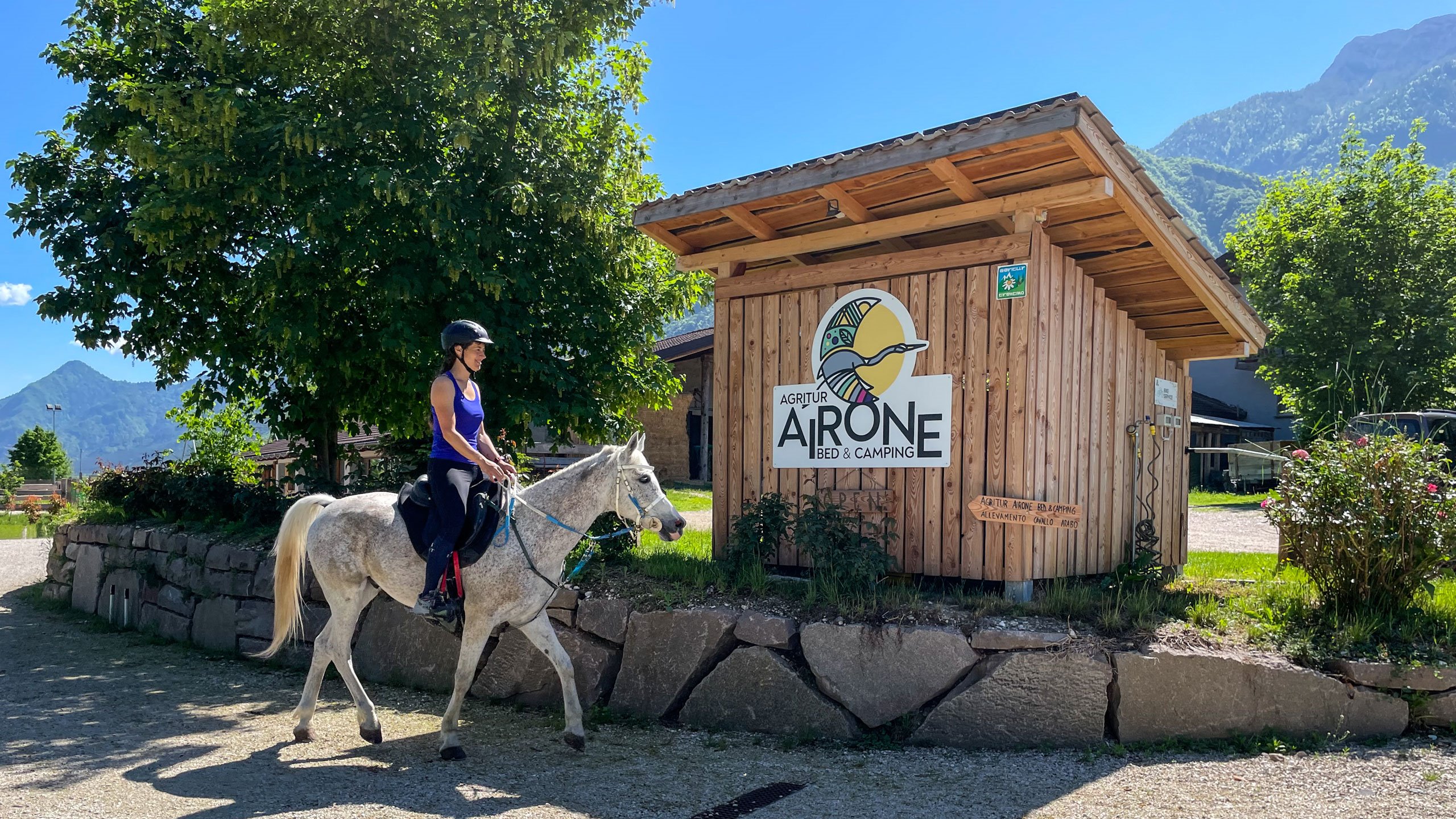 Riding lessons